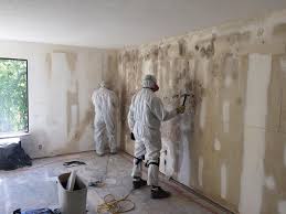 Best Attic Mold Removal  in Quail Creek, TX